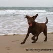 BridgetRunning4-23-04